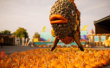 Riesenskulptur aus Kürbissen auf der Ausstellung